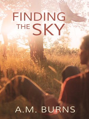 cover image of Finding the Sky